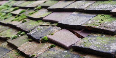 Dorney roof repair costs